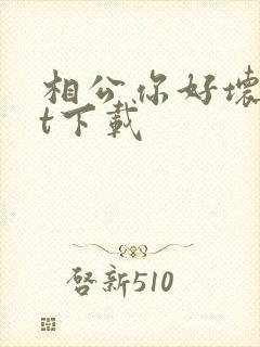 相公你好坏txt下载