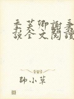 季芙卿谢秉安小说全文阅读