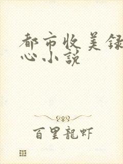 都市收美录宁素心小说
