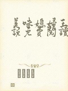 美味媳妇王芳小说免费阅读全文最新封面
