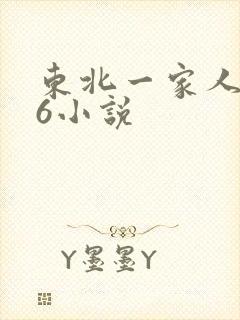 东北一家人1一6小说
