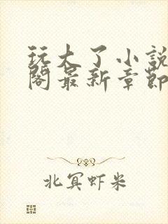 玩大了小说笔趣阁最新章节无弹窗