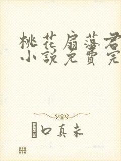 桃花扇落君不还小说免费完整版封面