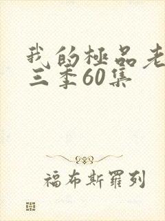 我的极品老婆第三季60集
