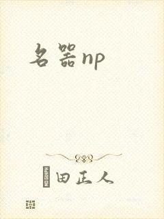 名器np