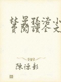 林曼孙浩小说免费阅读全文最新章节封面