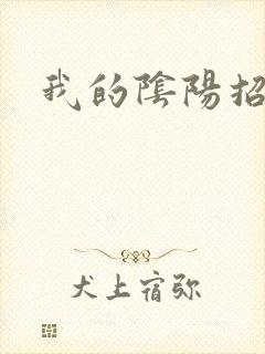 我的阴阳招魂灯封面