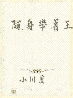 随身带着玉如意封面