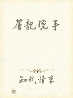 屠龙猎手封面