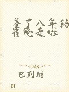 养了八年的金丝雀飞走啦