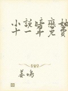 小说暗恋她的第十一年免费