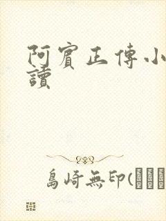 阿宾正传小说在读