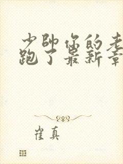 少帅你的老婆又跑了最新章节免费阅读
