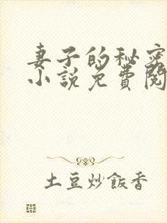 妻子的秘密全本小说免费阅读