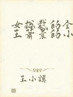 女总裁的全能兵王萧晨的小说