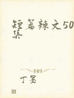 短篇辣文50合集封面