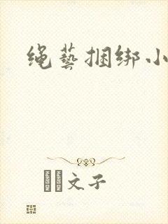 绳艺捆绑小说