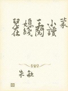 儿媳王小蒙小说在线阅读