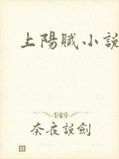 上阳赋小说