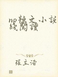 np辣文小说在线阅读封面