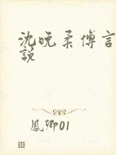 沈晚柔傅言声小说