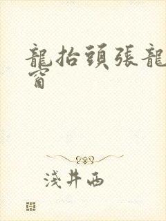 龙抬头张龙无弹窗