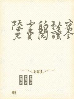陆少的秘密恋人免费阅读全文