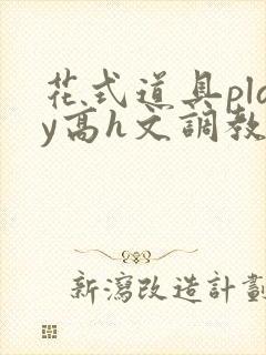 花式道具play高h文调教封面