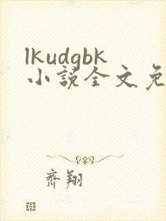 lkudgbk小说全文免费阅读笔趣阁无弹窗封面