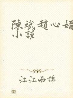 陈斌赵心媚全文小说封面