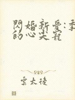 闪婚新爱:季少的心尖宠