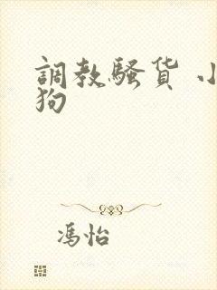 调教骚货 小母狗