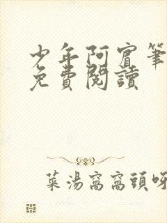 少年阿宾笔趣阁免费阅读