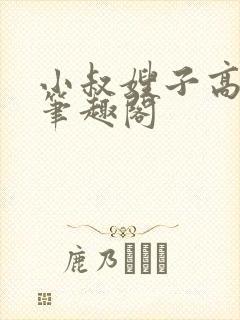 小叔嫂子高干文笔趣阁封面