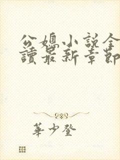 公媳小说全文阅读最新章节内容