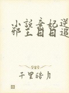 小说弃妃逆袭:邪王日日追妻忙阅读