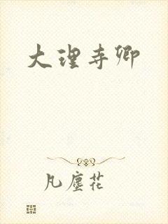 大理寺卿