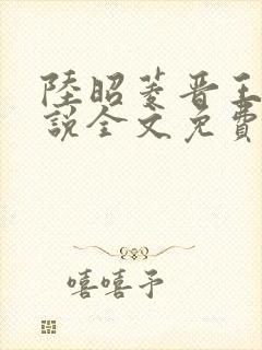 陆昭菱晋王的小说全文免费阅读