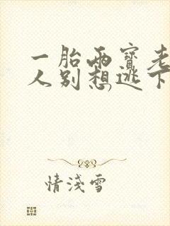 一胎两宝老婆大人别想逃下载txt封面