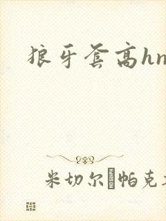 狼牙套高hnp