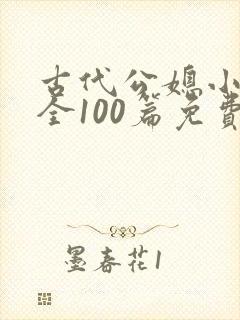 古代公媳小说大全100篇免费阅读全文