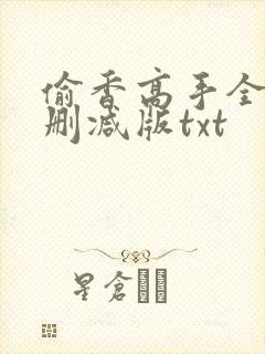 偷香高手全文无删减版txt