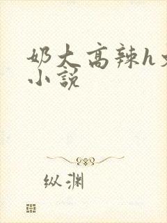 奶大高辣h文乳小说封面