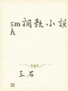 sm调教小说高h
