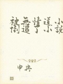 被无情道小师弟倒追了小说番外封面