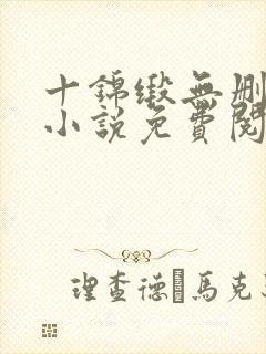 十锦缎无删原著小说免费阅读封面