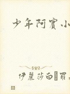 少年阿宾小说