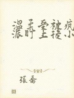 温柔受被疯批反派盯上后小说免费阅读