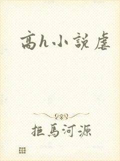 高h小说虐