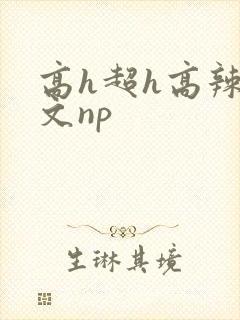 高h超h高辣h文np